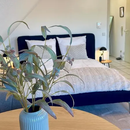 Apartment Modernes I Naehe Heidelberg I Naehe Sap