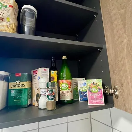Modernes I Naehe Heidelberg I Naehe Sap Apartment *